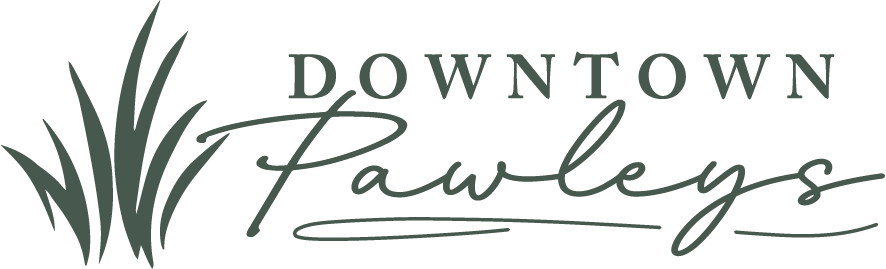 Downtown Pawleys